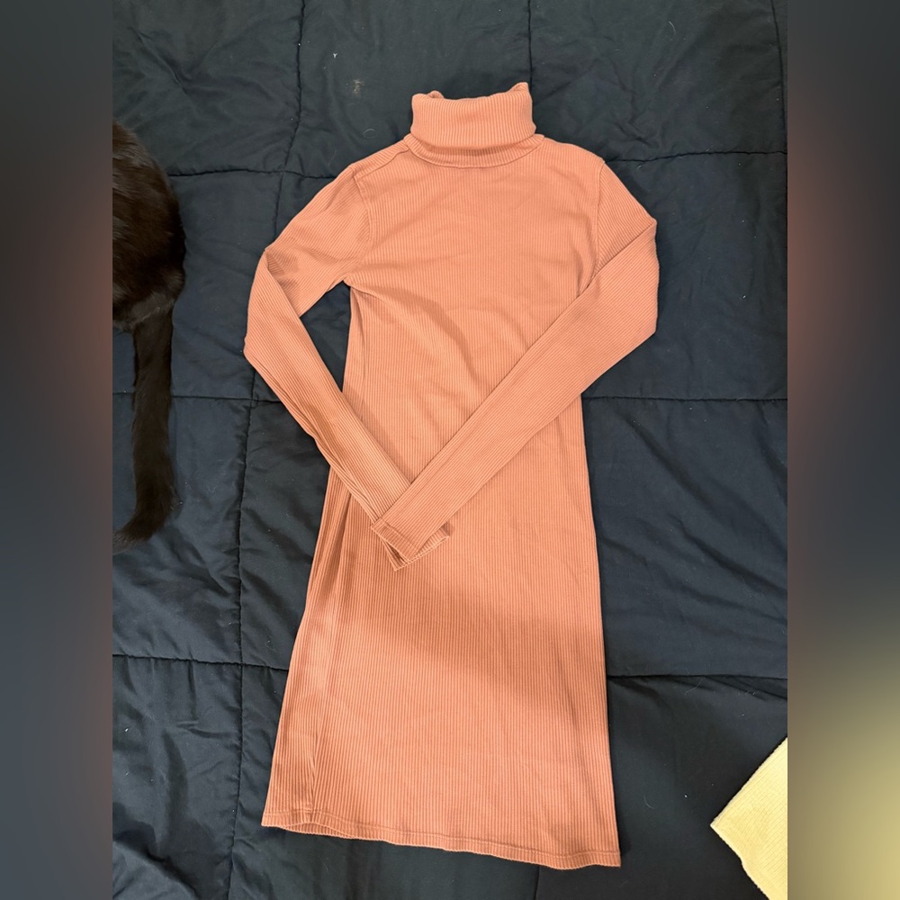 Brownish Turtleneck Dress